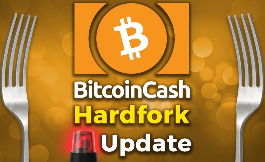 Bitcoin cash ethereum altcoinok mycryptoption