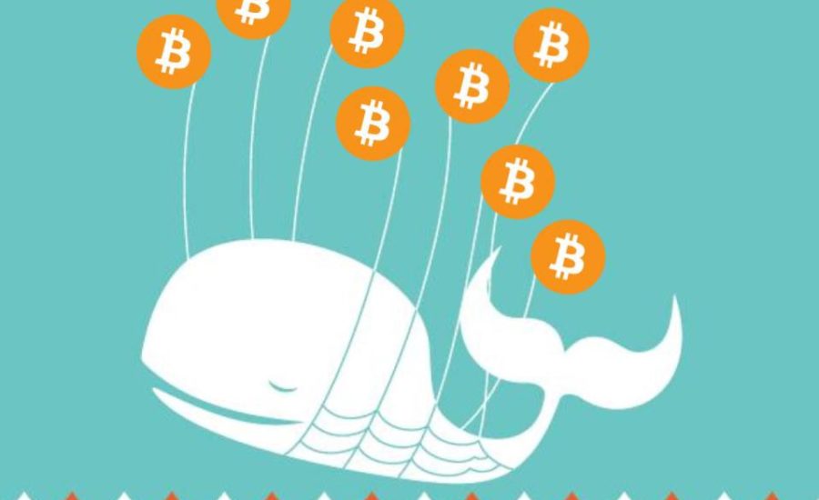 balenele bitcoin știri crypto bitcoin bálnák crypto hiriek mycryoption