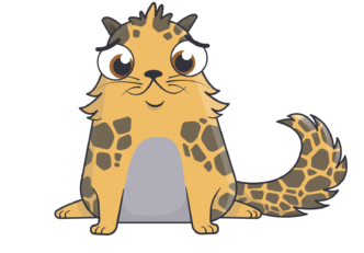 cryptokitties știri crypto a cryptokitties bitcoin ethereum blokklánc krypto hírek mycryptoption