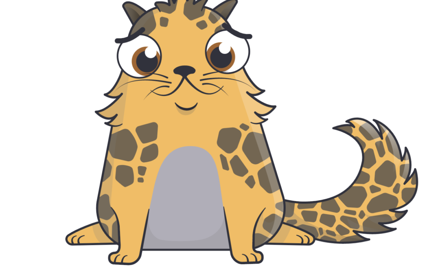 cryptokitties știri crypto a cryptokitties bitcoin ethereum blokklánc krypto hírek mycryptoption