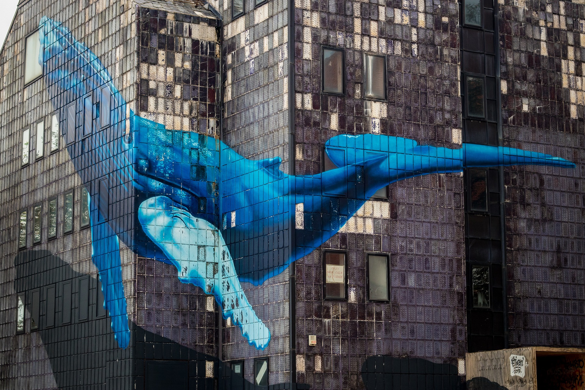 5 Ethereum token, amelyet éppen nagyban vásárolnak a bálnák