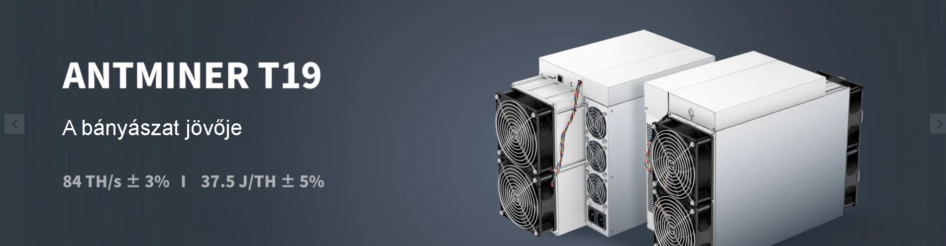 Antminer T19