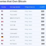 Top 10 portofolii instituționale BTC din 2021 | Cele mai mari 10 companii care dețin portofoliu Bitcoin Top 10 intézményi bitcoin portfólió 2021-ben A 10 legnagyobb cég, aki Bitcoin Portfólióval rendelkezik