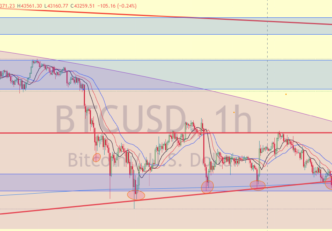 https://5percbitcoin.hu/hirek/8-kal-inditja-az-oktobert-a-bitcoin-50-000-dollarhoz-kozelit-az-arfolyam/