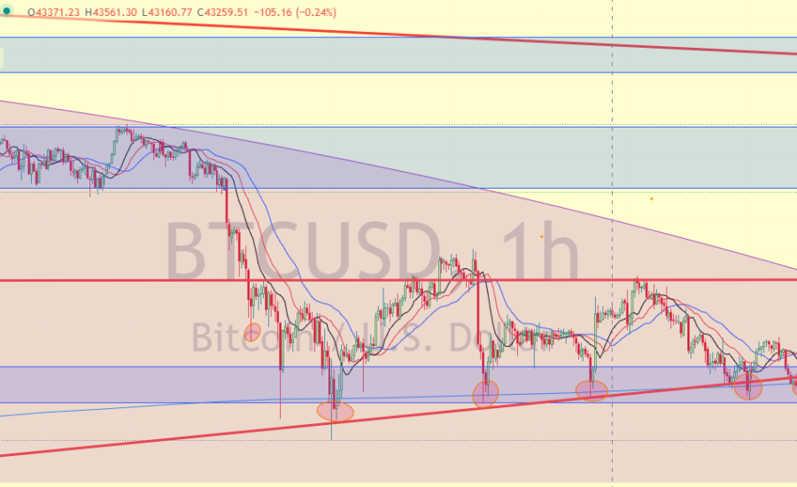 https://5percbitcoin.hu/hirek/8-kal-inditja-az-oktobert-a-bitcoin-50-000-dollarhoz-kozelit-az-arfolyam/