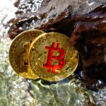 Jobban kedvelik a Bitcoint, mint az aranyat: Bitcoinnal védekeznek az infláció ellen intézményi befektetők