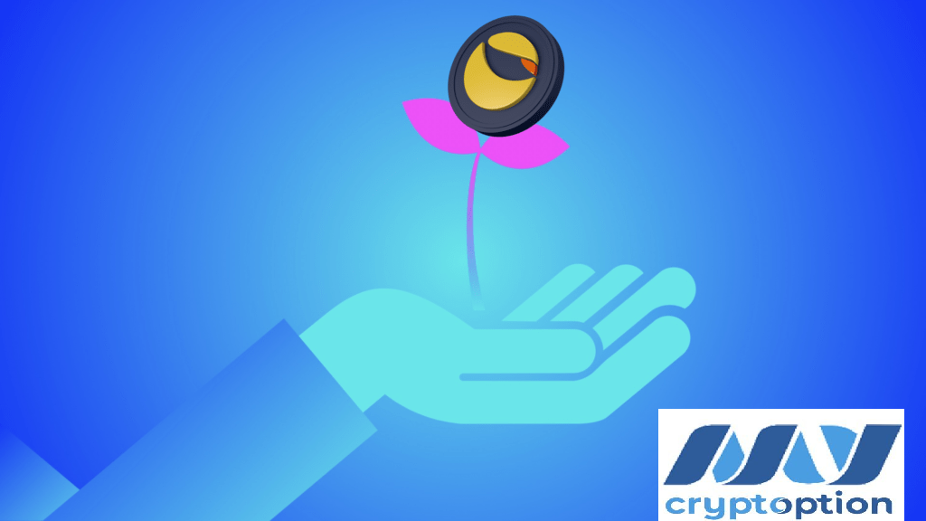 Terra 2.0 a fost votat | “Despăgubiri” pentru victime