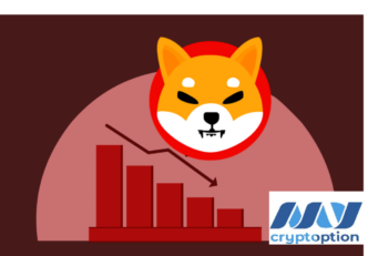 preț SHIB Experții spun că Shiba Inu va ajunge să valoreze 0 dolari până-n 2030 | Să vedem de ce