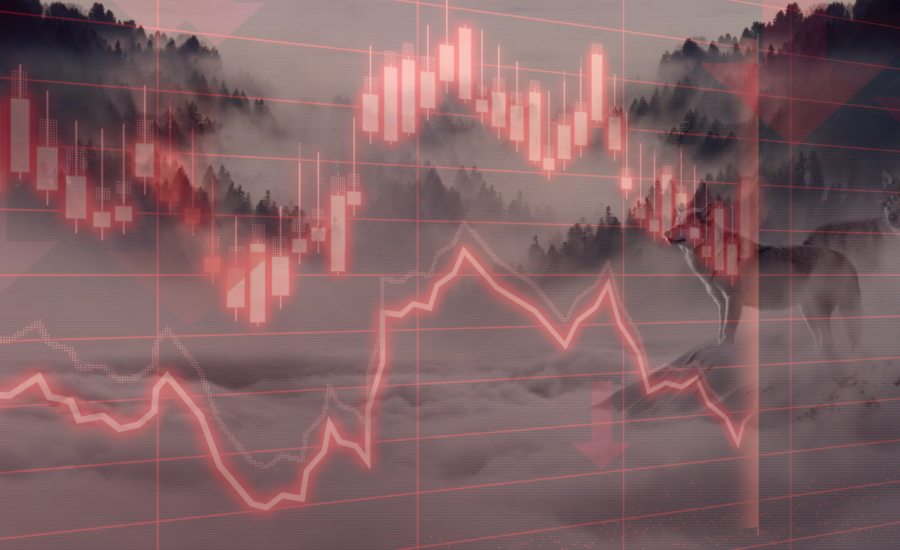 Piața crypto sângerează | A sosit Crypto Winter? vérzik a kriptopiac megérkezett a cryptowinter mycryptotion