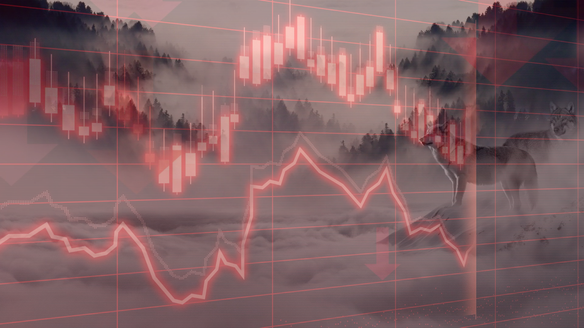 Piața crypto sângerează | A sosit Crypto Winter? vérzik a kriptopiac megérkezett a cryptowinter mycryptotion