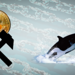 Așa reacționează Balenele și Minerii Bitcoin la bear market Bálnák és bányászok a medvepiac alatt Hogyan reagál a két csoport mycryptoption