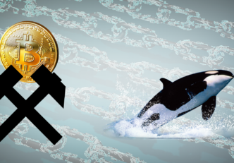 Așa reacționează Balenele și Minerii Bitcoin la bear market Bálnák és bányászok a medvepiac alatt Hogyan reagál a két csoport mycryptoption