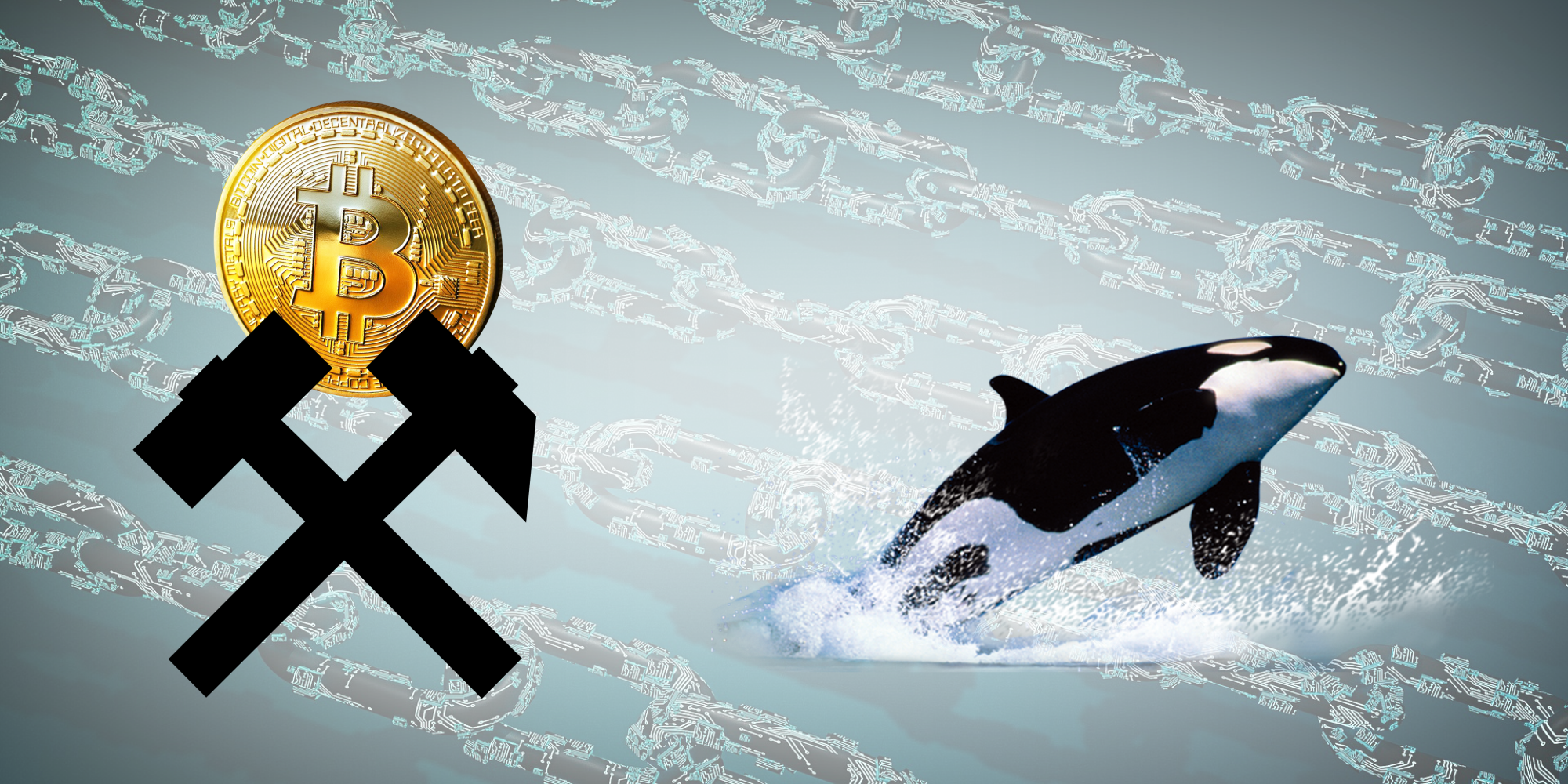 Așa reacționează Balenele și Minerii Bitcoin la bear market Bálnák és bányászok a medvepiac alatt Hogyan reagál a két csoport mycryptoption