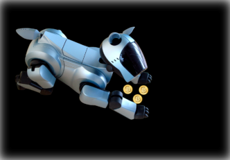 A aruncat 8.000 de bitcoin acum 9 ani, acum îi caută cu câini robot Kidobott 170 millió dollár értékű BTC-t Most 2 robotykutya segítségével szeretné megtalálni a vagyont érő BTC-ket mycryptoption