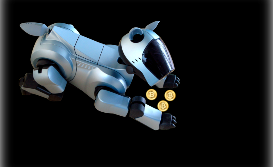 A aruncat 8.000 de bitcoin acum 9 ani, acum îi caută cu câini robot Kidobott 170 millió dollár értékű BTC-t Most 2 robotykutya segítségével szeretné megtalálni a vagyont érő BTC-ket mycryptoption