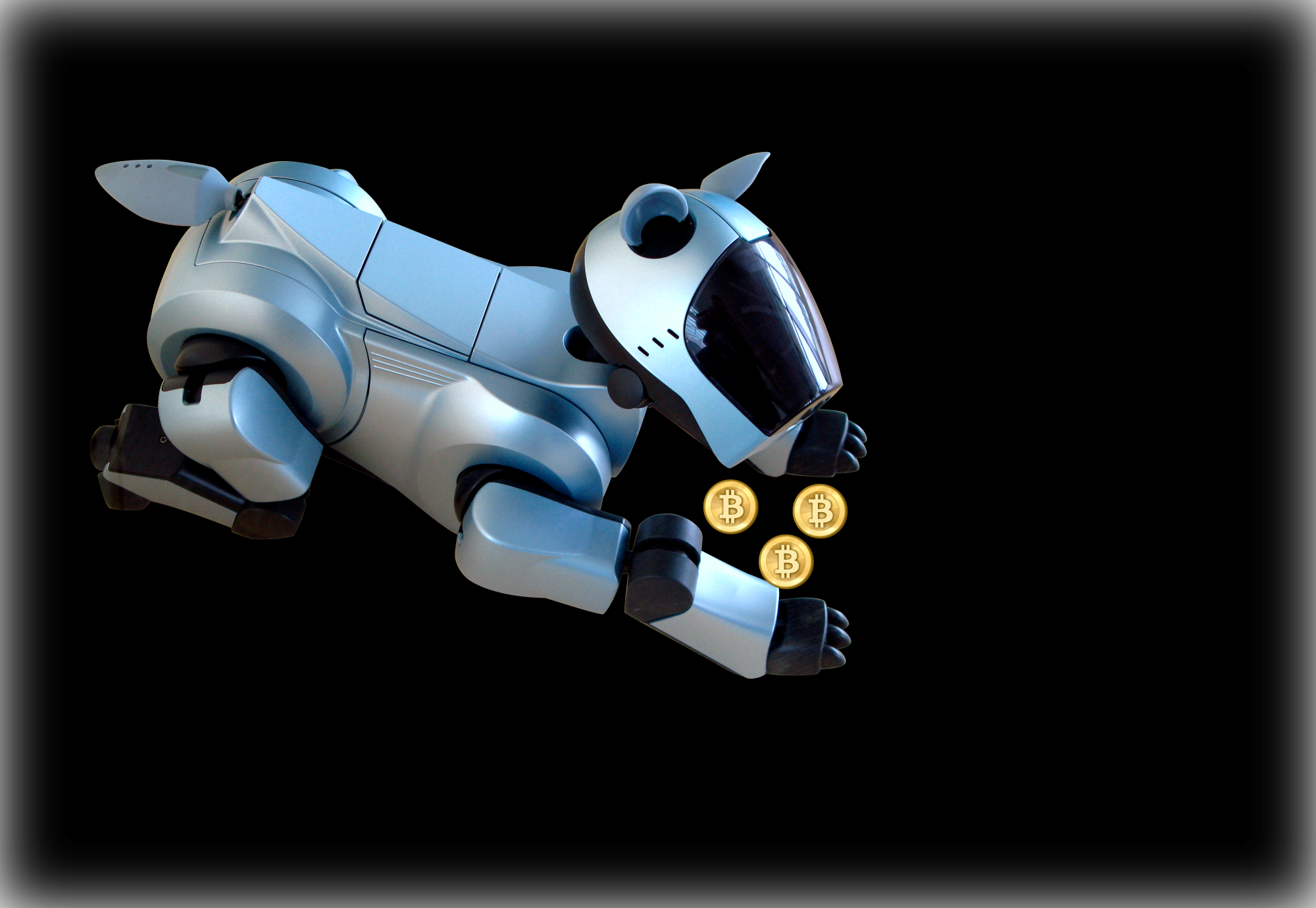 A aruncat 8.000 de bitcoin acum 9 ani, acum îi caută cu câini robot Kidobott 170 millió dollár értékű BTC-t Most 2 robotykutya segítségével szeretné megtalálni a vagyont érő BTC-ket mycryptoption