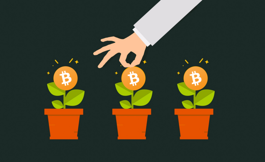 5 modalități prin care putem obține câteva criptomonede în plus | Așa poți spori numărul criptovalutelor tale pe timpul Crypto Winter Kriptovaluta vásárlás olcsón vagy kis befektetéssel | 5 módszer kriptovaluta vásárlásra alacsony vagy zéró befektetéssel mycryptoption